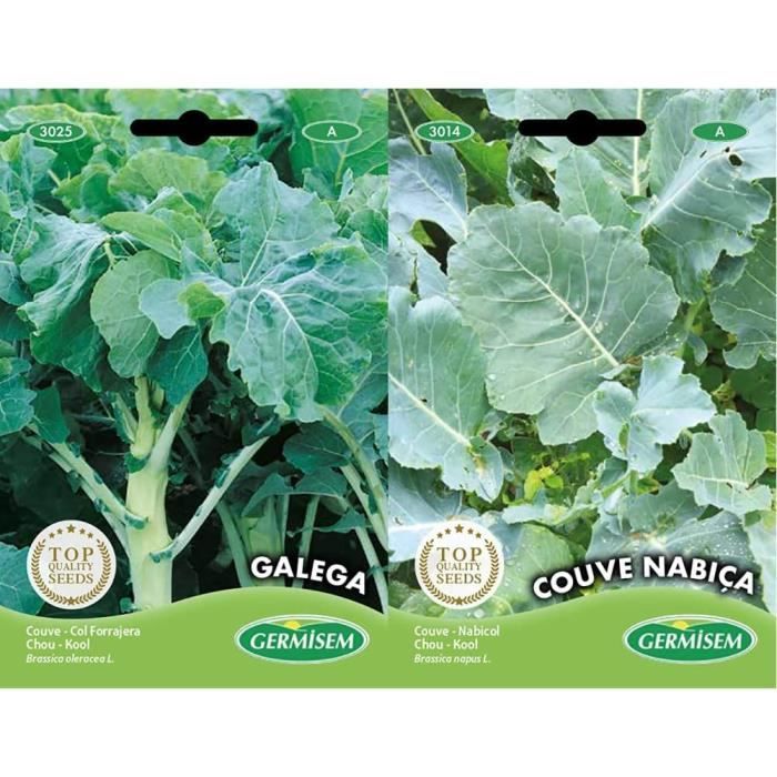 Graines Chou GALEGA Germisem - Pour Soupe Verte (Caldo Verde), Légume Feuille