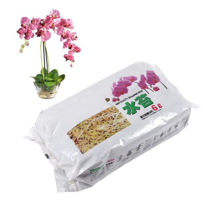 Mousse De Sphaigne De Jardin SEAFRONT 6L - Engrais Organique Hydratant Pour Orchidées Et Plantes