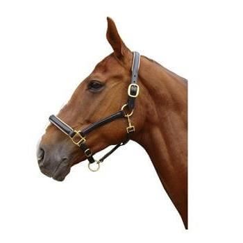 Comparer les prix de Licol en cuir noir double or ou argent Harry s Horse - 110 - brun