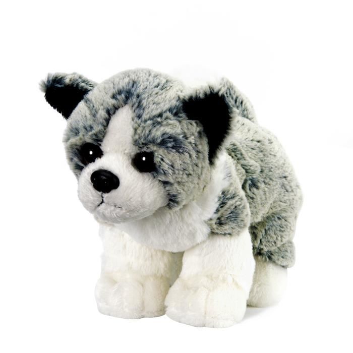 Soft outlet friends chien