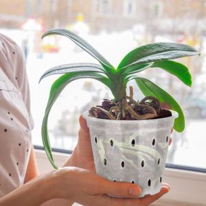 Teraplast – Vase Transparent « Porto » Avec Support Pour Orchidées – Diamètre 16 Cm, Avec Soucoupe – Cache-pot Design Fabriqué En Italie