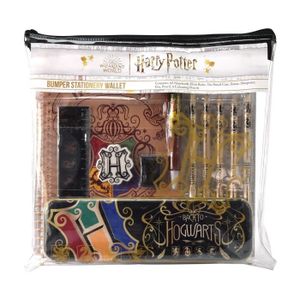Boîte à Secrets Harry Potter Collector Deluxe Unique - Cdiscount  Puériculture & Eveil bébé