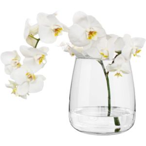 VASE - SOLIFLORE Vase En Verre Transparent H: 17 Cm Vase Rond Vase 