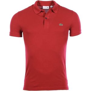 polo lacoste homme