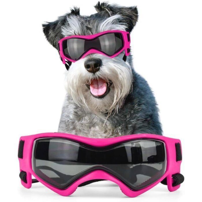Lunettes de soleil pour chien de race moyenne protection UV coupe-vent et antibuée réglables pour petits et moyens chiens