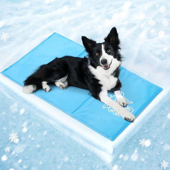 Couverture rafraîchissante pour Chien et Chat Non Toxique. Tapis rafraîchissant dété Frais pour Petits Animaux Bleu L 90 x 50 cm