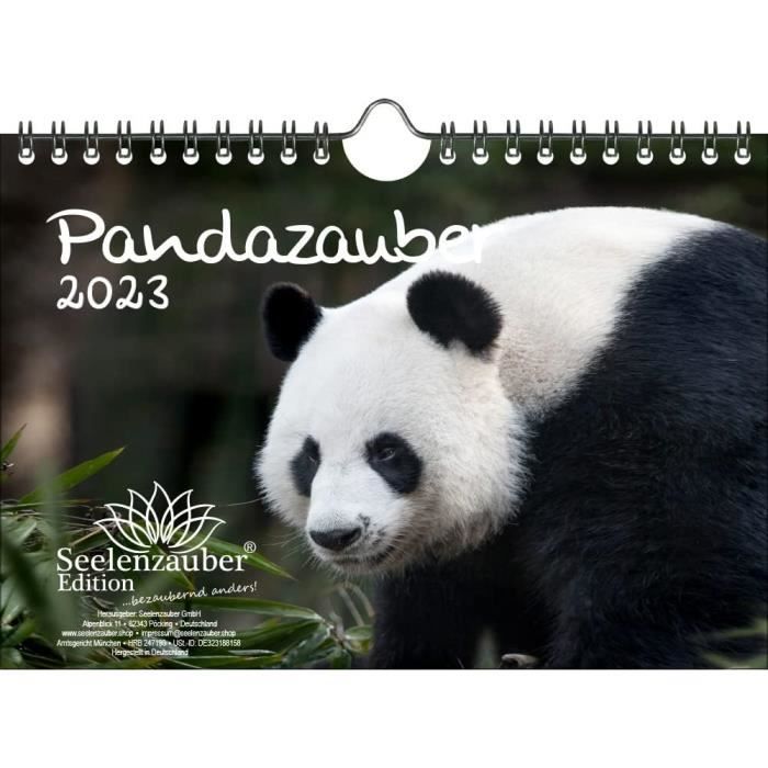 Blaireau Père Noël Traîneau Nnc168 Humoristique Carte De Noël Format A5 Cartes De Vœux Publiés Par Nous Cadeau Personnalisé Pour Tous 2016 à Partir De