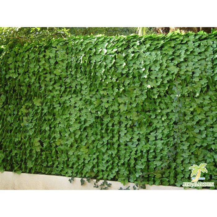 écran en Rouleaux par Papillon Primrose haie paravent en Feuilles de Lierre artificielles 3 m x 1 m Clôture Plastique pour préserver l’intimité dans Un Jardin