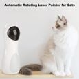 Jouet laser pour chat, outil de chasse d'exercice pour animaux de compagnie fonctionnant par chargement USB / batterie-2