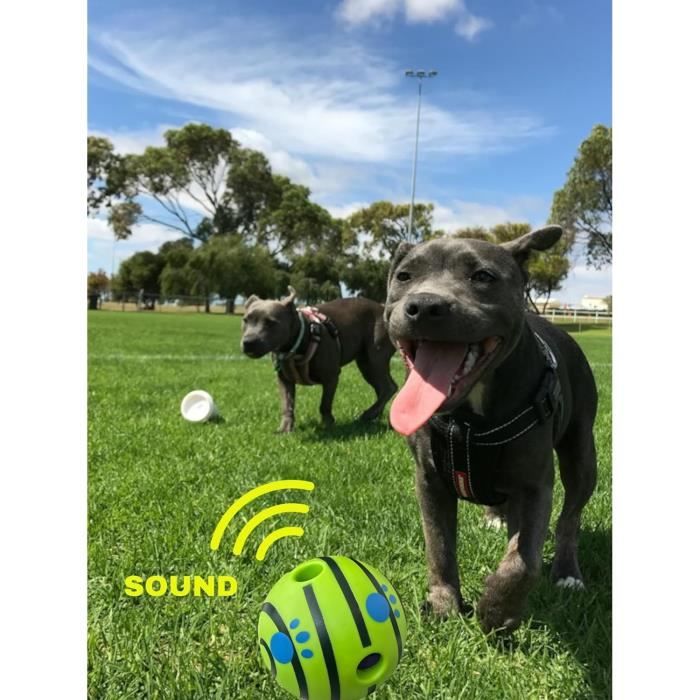 Jouet Chien En Caoutchouc Naturel Indestructible - Haltère Rayé, Cache-croquetttes | Jouet Interactif Chiot Mastication