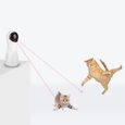 Jouet laser pour chat, outil de chasse d'exercice pour animaux de compagnie fonctionnant par chargement USB / batterie-3