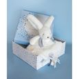 Doudou et Compagnie - Doudou Lapin - 25 cm - Blanc/Bleu - Lapin Pompon Blanc - Idée Cadeau - Happy Glossy - Happy Doudou To You-3