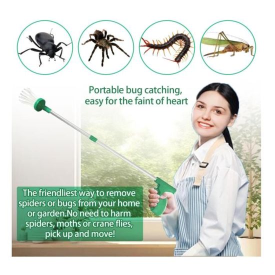 Piège à araignées, attrape-insectes, vivant, Snapy, extra long, pour l'intérieur