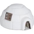 Igloo deco noel - Achat / Vente pas cher Igloo deco noel - Achat / Vente pas cher