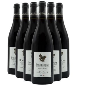 VIN ROUGE Domaine Michaud Frère et Soeur Bourgogne Pinot Noi