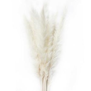 Herbe s/èche Bouquet Accueil Photo D/écoration Props Dartisanat De Mariage Fleur De Bundle De Bl/é Naturel S/éch/é