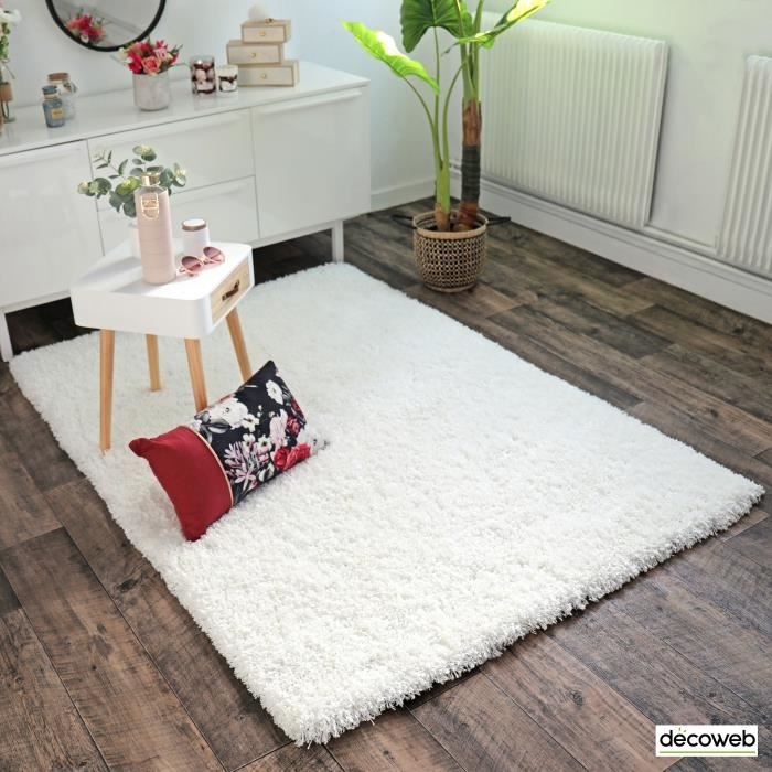 Tapis Flocon - Shaggy frisé à poils longs - Blanc (120x170 cm)