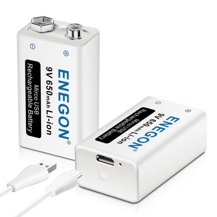 Batterie 9V USB Directe Rechargeable Lithium-ION avec câble Micro