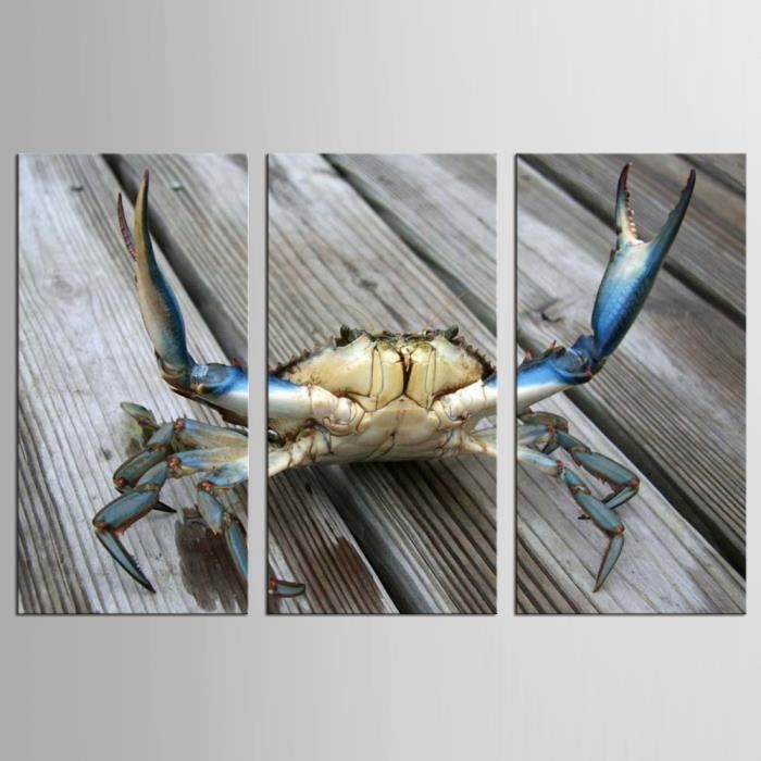 3 Ensemble Grande Abstraite Crabe Toile Imprimer Peinture Nature Still Wall Art Decor Maison Achat Vente Objet Decoration Murale Soldes Sur Cdiscount Des Le Janvier Cdiscount