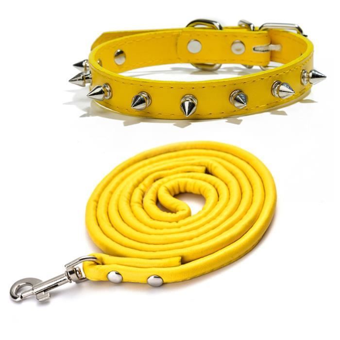 Collier chien collier en cuir à pointes de harpe pour chiens, Pu pour