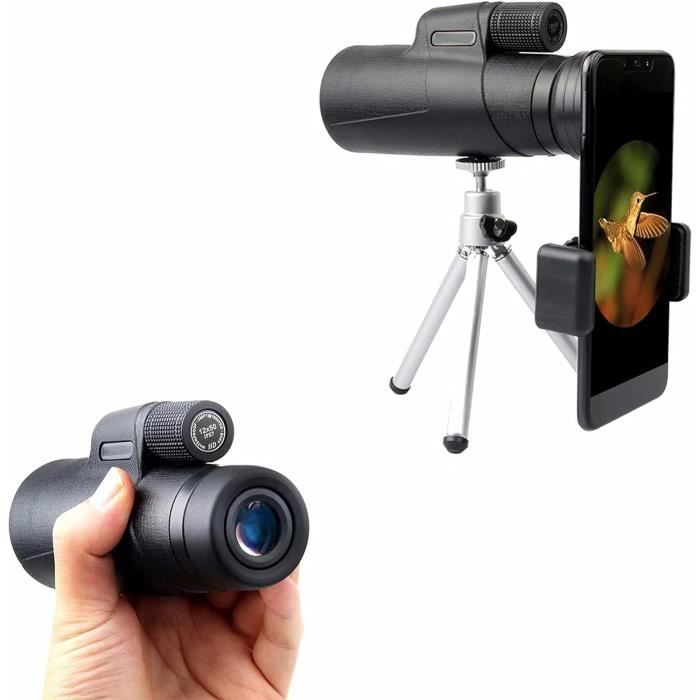 Fafeicy Télescope Monoculaire HD 10x42 Avec Trépied Argenté