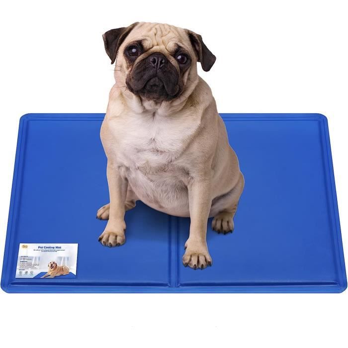 Gamelle Rafraîchissante Pour Chien Et Chat - Design Détachable - Facile à Nettoyer - Fond Antidérapant - Bleu - Dimensions 24x24x6.6 Cm