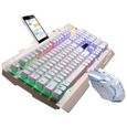 Cool LED rétro-éclairé ergonomique Gaming clavier mécanique Gamer souris ensembles (blanc) Pr20178-2