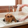 Douchette de lavabo pour chien chat Animal domestique Lave -3