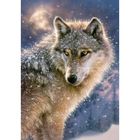 Puzzle 500 pièces - CASTORLAND - Loup - Animaux - Niveau facile