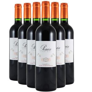 VIN ROUGE Château Penin Tradition Rouge 2018 - Lot de 6x75cl - Vin Rouge de Bordeaux - Appellation AOC Bordeaux supérieur