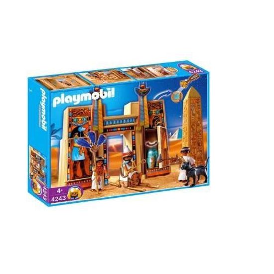 4243 playmobil