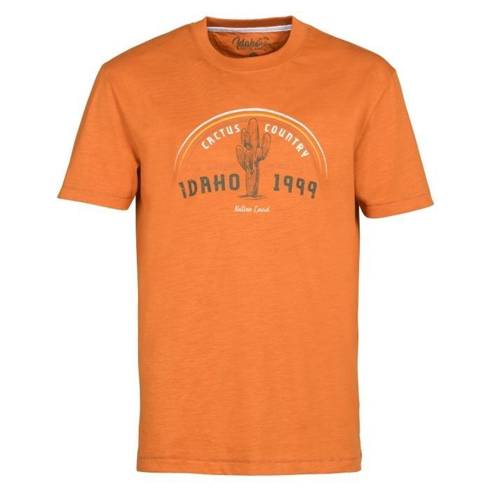T-shirt Idaho Country side - orange