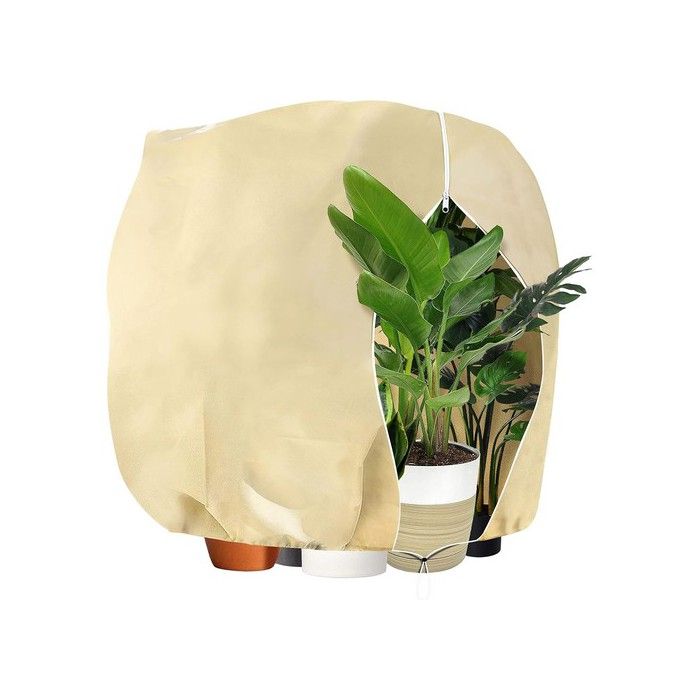 Voile dhivernage pour plantes - Tissu non tissé 80 g/m² - Dimensions 180x120 cm - Beige - Anti-UV - Translucide
