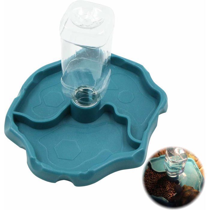 Distributeur deau pour animaux bleu en plastique accessoires pour reptiles pour tortue lézard tortue