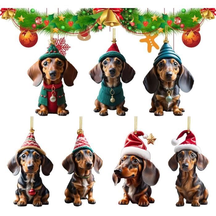 Luckluccy Berger Australien Personnalisé (Blue Merle