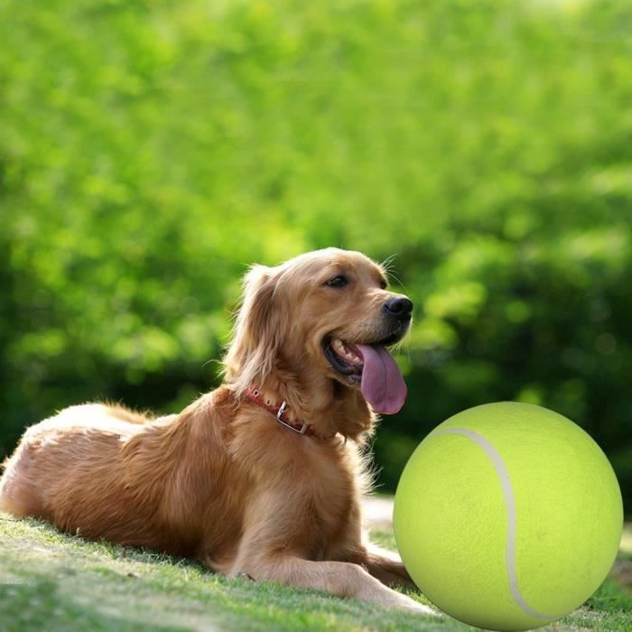 Balle de tennis géante de 24 cm pour chien – Stock de cadeaux