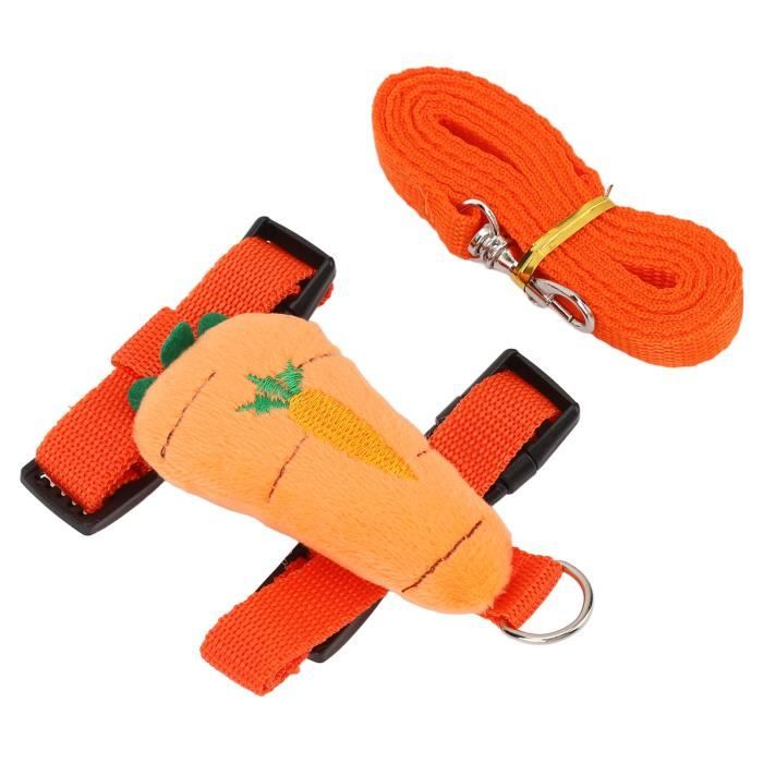 Meilleurs prix pour Laisse-harnais pour lapins - VVIKIZY - Carotte - Réglable - Nylon - Acier inoxydable