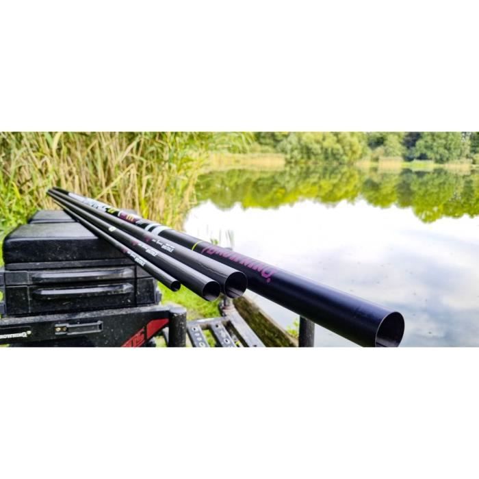 Canne emmanchement Browning Hyper Carp Brutale G2 Pole - Cdiscount Sport