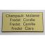 plaque gravée porte personnalisée 2 à 3 lignes format 75 x 150 mm enjolivures