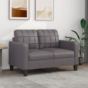 CANAPÉ FIXE Divan - Sofa Moderne Canapé à 2 places - Gris 120 cm Similicuir 22Kg, FR2023