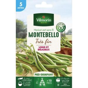 GRAINE - SEMENCE Graines de haricot à rames Montebello - VILMORIN -