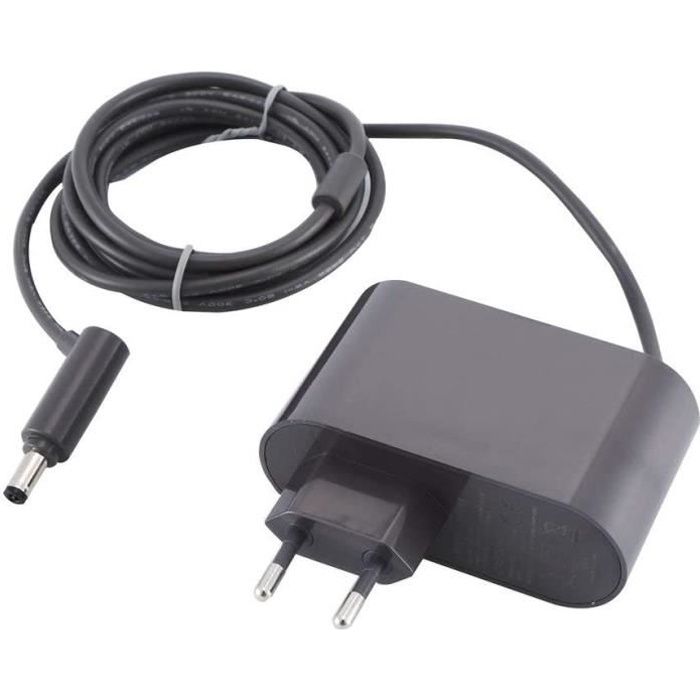Bloc D'alimentation Chargeur pour Dyson V6 V7 V8 SV03 SV04 SV05 SV06 SV07 Aspirateur Adaptateur Secteur 205720-02 214730-01
