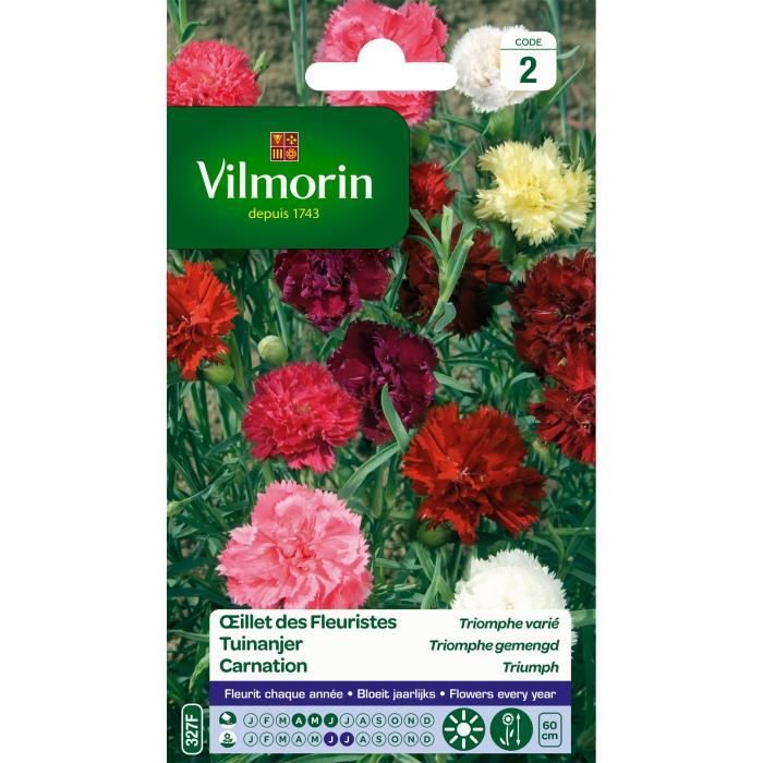 VILMORIN Oeillet des fleuristes Triomphe varié