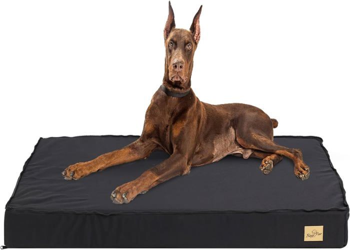 Comparer les prix de Coussin Grand Chien Déhoussable: Panier Pour Chien Xxl Orthopédique Grande Taille Tapis Pour Chiens Lavable Matelas Imperméable En