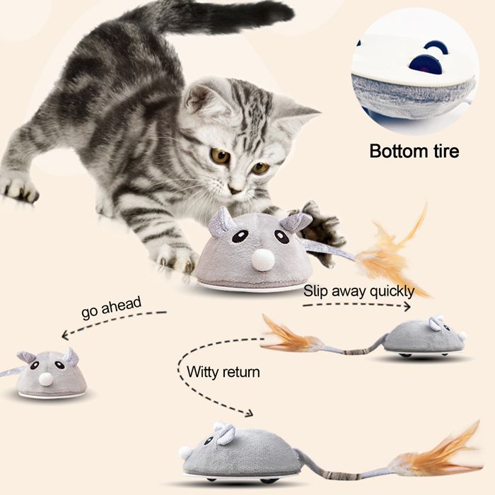OMABETA Jouet Chat Électrique USB Rechargeable