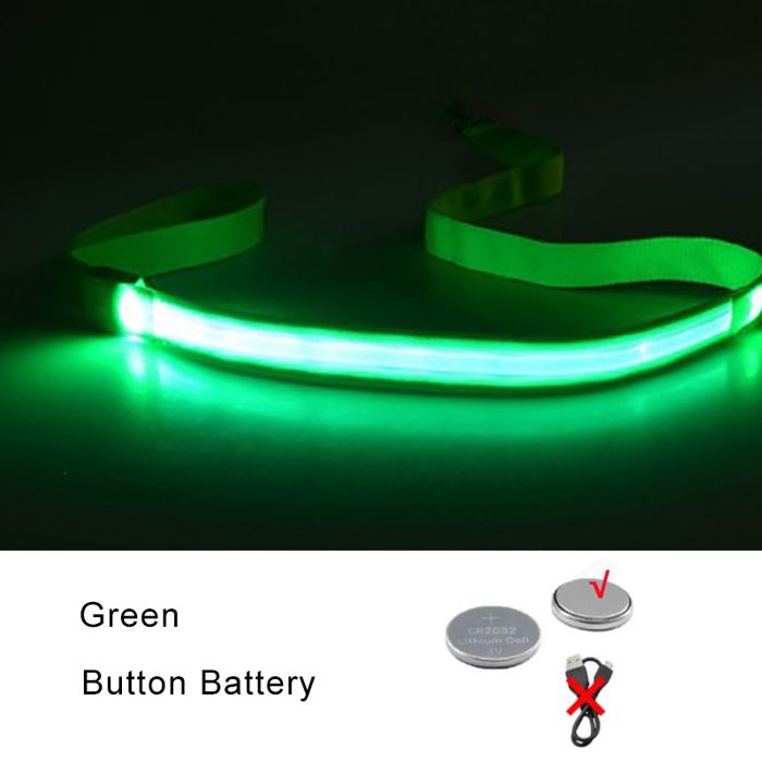 Laisse pour chien lumineuse à LED - Phoesky - 120x2 5 cm - LED clignotante - Sangle en nylon - Étanche - Piles CR2032