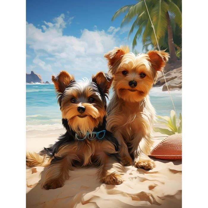 Pointeur Laser USB Triple Couleur Rouge/Vert/Violet – 1mW, Portée Extrême 1km, Rechargeable