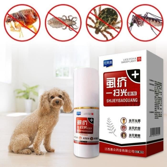spray insecticide portable anti-puces, tueur d'insectes, pour chien, chiot, chat, nouveauté 2019, 1 pièce