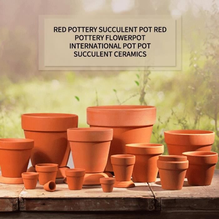 DOITOOL 10pièces Mini Pots Terre Cuite Pour Plantes Grasses Et Cactus Petits Pots De Pépinière Succulentes Céramique