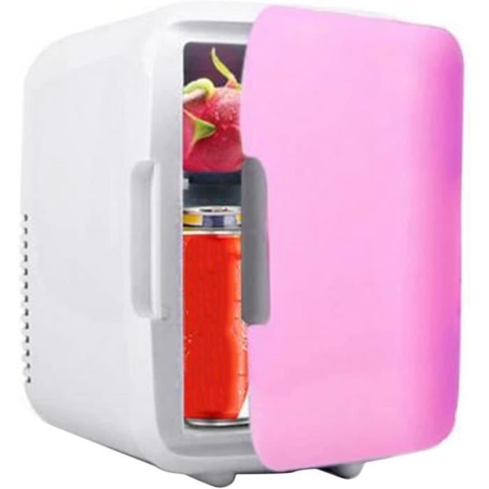 Mini Réfrigérateur Portable 10L - Voiture Et Camping - Noir - Acier Inox